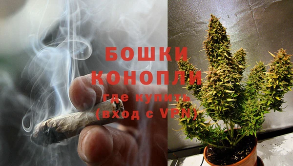 тгк Новосибирск