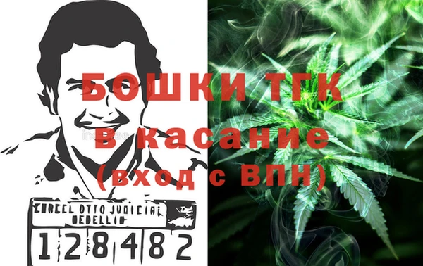 шишки Вяземский