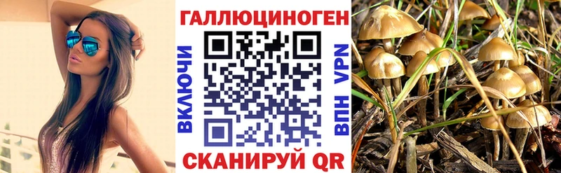 Галлюциногенные грибы мухоморы  Ершов 